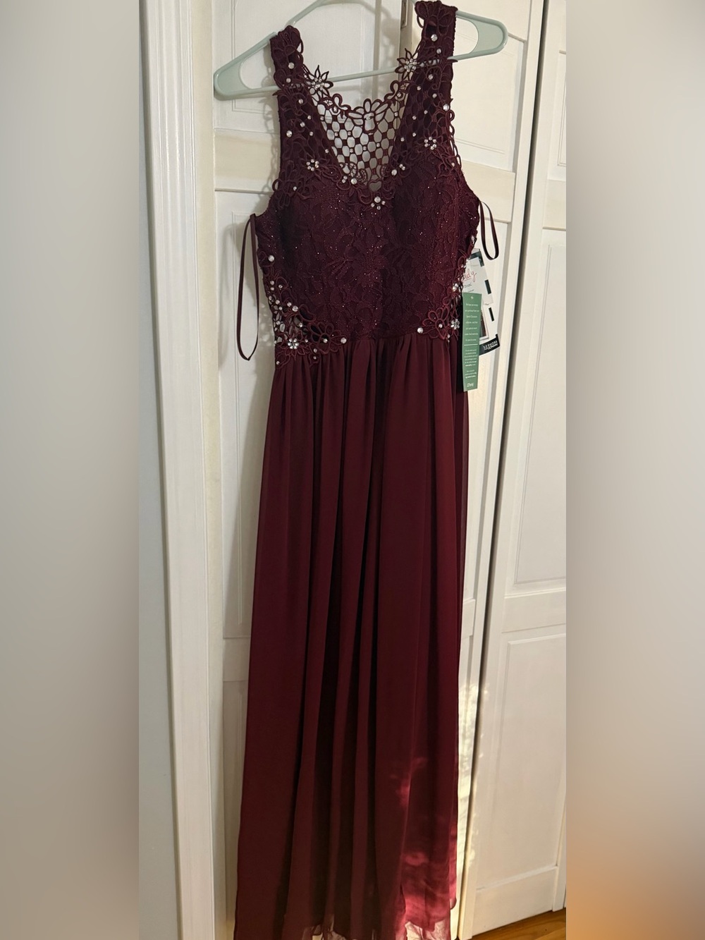 Embellished Lace Bodice Evening Gown
